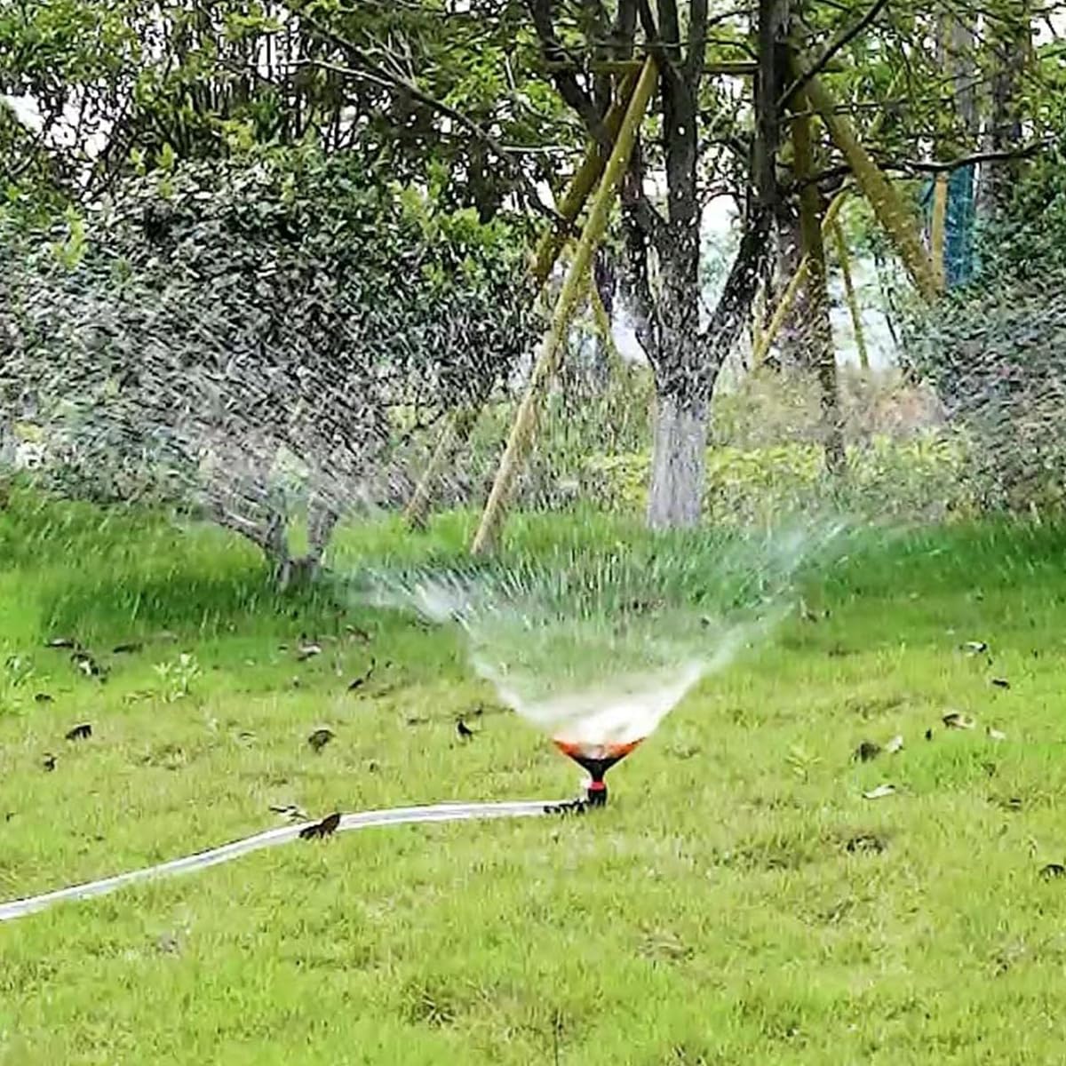 HASTHIP Garden Water Sprinkler Head Porous Nozzles Design Gardening Sprinkler Lawn Watering Sprinkler 360 Degree Adjustable Rain Fall Sprinkler Fixed Water Sprinkler Head for Flower Bed, Garden, Lawn HASTHIP Garden Water Sprinkler Head Porous Nozzles Design Gardening Sprinkler Lawn Watering Sprinkler 360 Degree Adjustable Rain Fall Sprinkler Fixed Water Sprinkler Head for Flower Bed, Garden, Lawn